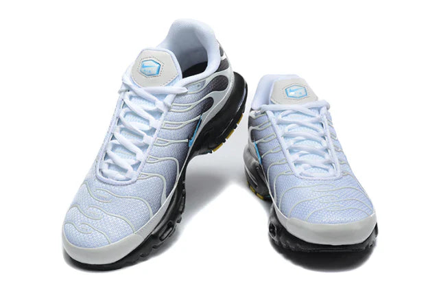 Air Max Plus TN 1 "Pure Platinum & Dark Smoke Grey"