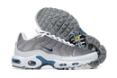 Air Max Plus TN 1 "Flat Pewter"