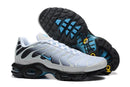 Air Max Plus TN 1 "Pure Platinum & Dark Smoke Grey"
