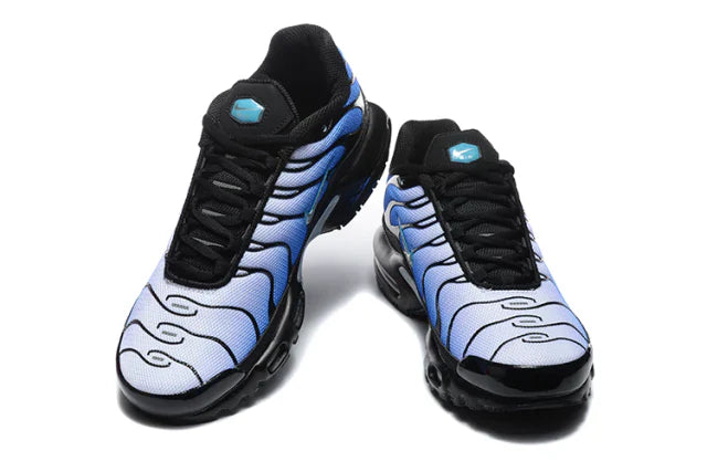 Air Max Plus TN 1 "Blue Night"